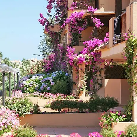 Bougainvillae 160s * Porto Cervo